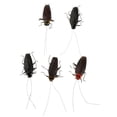 thumbnail image 1 of 5Pcs Toys Simulated Bug Toy Supplies Education Models Fridge -, 1 of 7