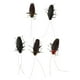 thumbnail image 1 of 5 Piezas Juguetes de Falsos Simulados Juguete de Suministros de Fiesta de Halloween Modelos Educativos Imán de Nevera Cucaracha Baoblaze Decoración realista de insectos, 1 of 7