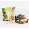 thumbnail image 6 of Sugar Glider Treat Bundle- Treats with Mix of Fruity Treats, Dried Insects, & Agave Sticks - for Sugar Gliders- Sample Variety, 6 of 13