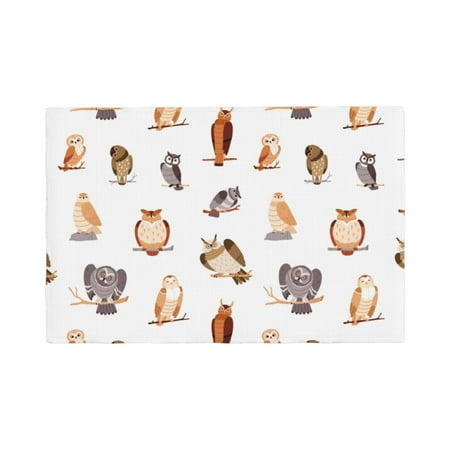 

Placemats Set Of 4 / 6 Cute Crooked Head Owl Placemats For Dining Table Indoor/Outdoors Heat Resistant Washable Placemats 18 X 12