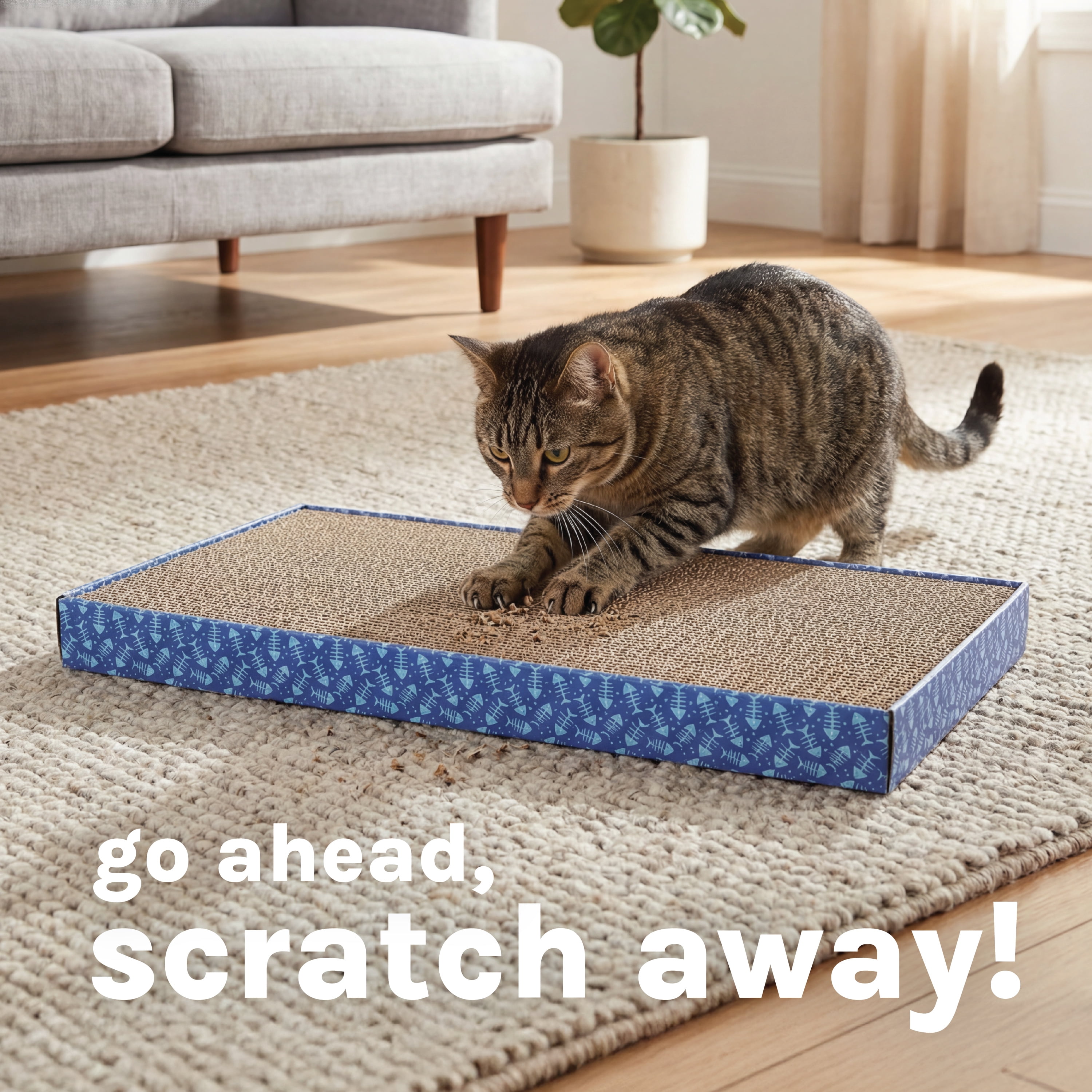 Kitty City Fish Bone Print 5-Pack Cat Scratching Pads, Multicolored, One Size