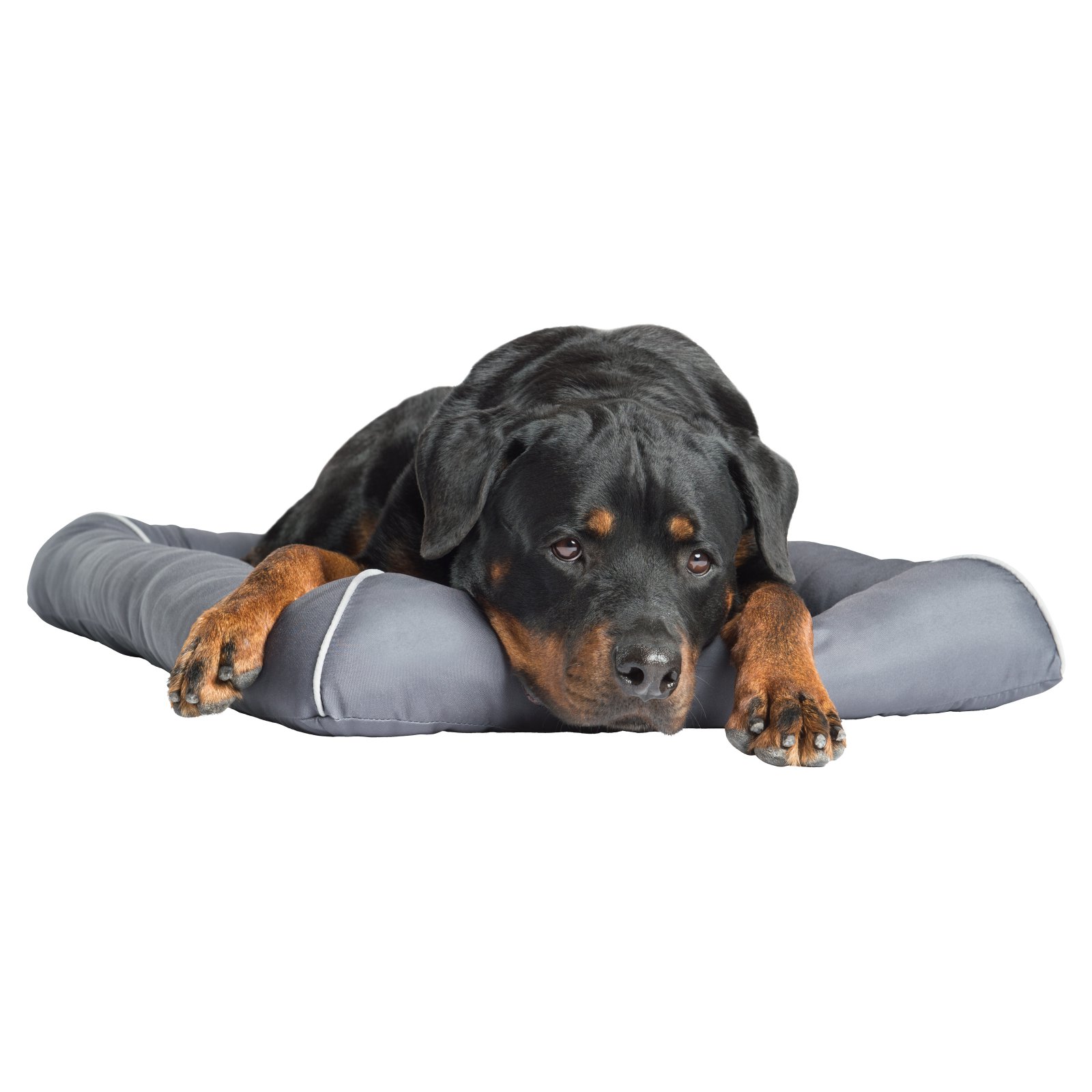 Enchanted Home Pet TheraCool Cooling Gel Pet Bed