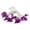 Purple 3M, variant on Zguuel Battery Operated Halloween Spider String Lights, 2-Pack Spider Web Fairy Lights with LED Spiders, Battery Powered Spider Garland for Indoor Outdoor, Spooky Spider Light Set