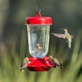 thumbnail image 2 of Perky-Pet Red Flower Top-Fill Plastic Hummingbird Feeder – 16 oz, 2 of 9