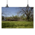 thumbnail image 2 of Print: Gee's Bend, Alabama, 2010, 2 of 4