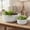 White, variant on Lynn Ribbed Pedestal Planters (Set of 2)