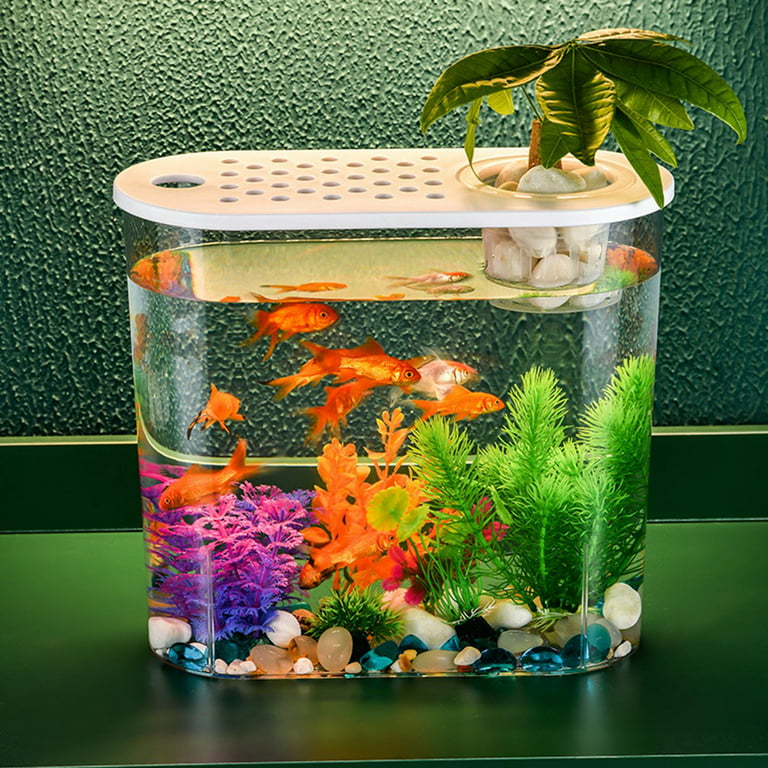 Small Fish Tank Clear Fish Breeding Box Goldfish Aquarium Tank for