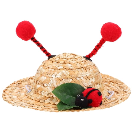 CTIRCHIU Lightweight Red Pet Hat Straw for Small Dogs Cat Suitable for Summer Outdoors