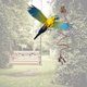 thumbnail image 5 of Bird Swing Cotton Rope Spiral-perch Parrot Climbing Toy Boredom Breaker, 5 of 5