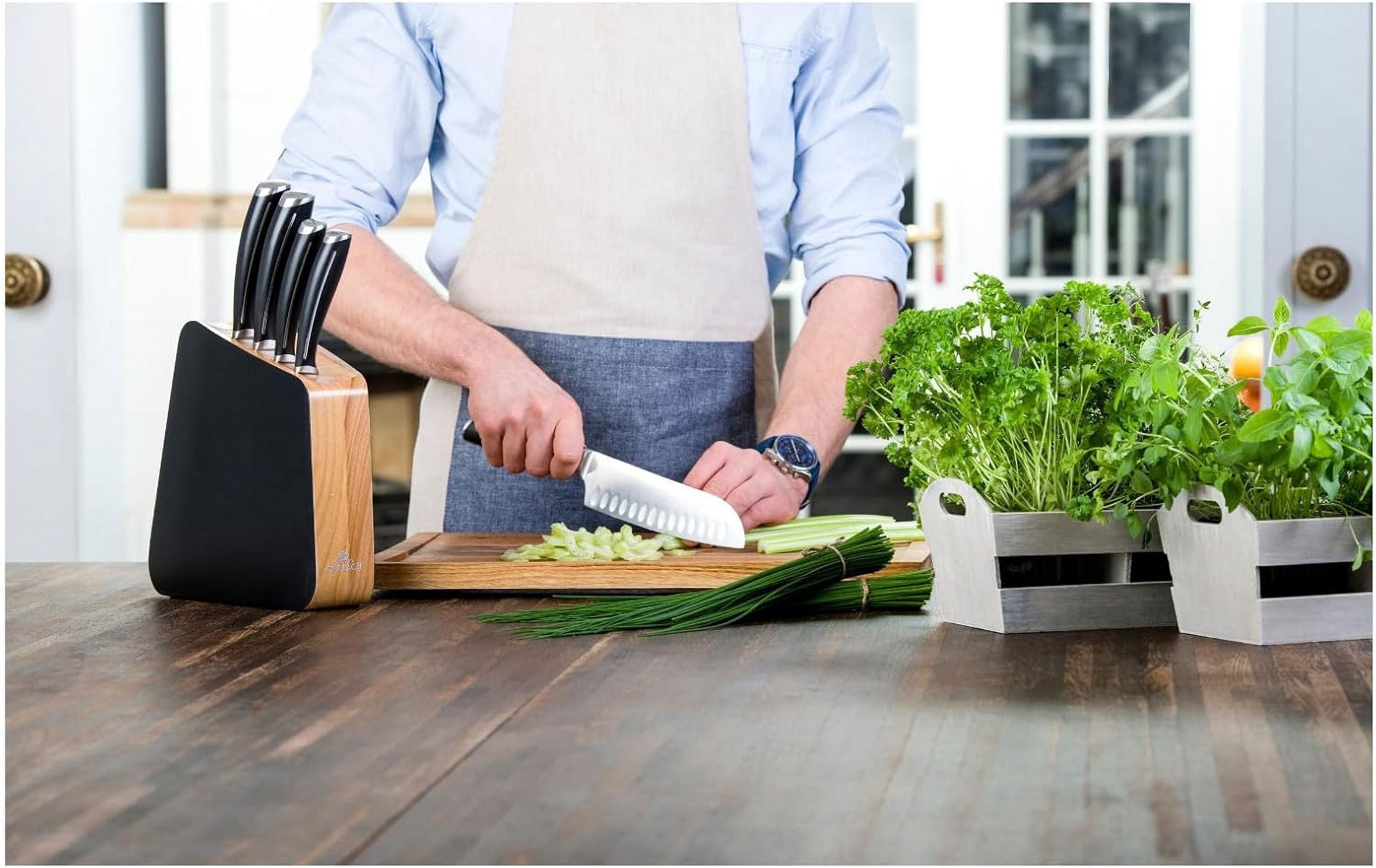 Professional Chef Knife Set, 5 Pieces, Stainless Steel, with Block and Gift Box, Black/wood, G-1320