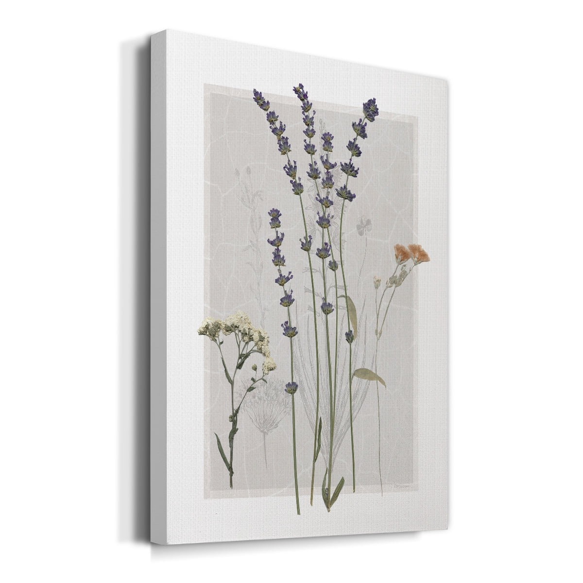 Field Study Page I Premium Gallery Wrapped Canvas - Ready to Hang