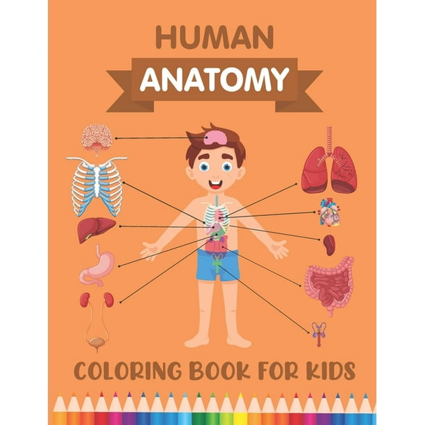 Download Human Anatomy Coloring Book For Kids Over 30 Human Body Parts Coloring Book Human Body Coloring