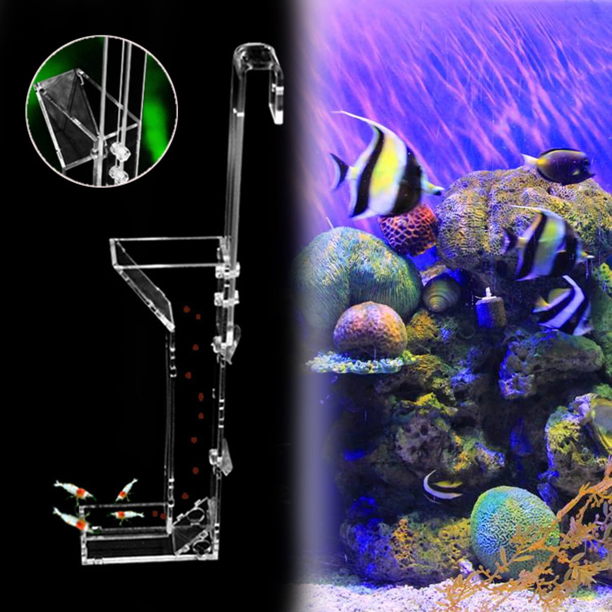 Shrimp TubesGlass Shrimp Feeding Tube Aquarium Fish Tank Feeder Tube