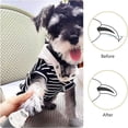 thumbnail image 4 of Molinillo de uñas para perros, molinillo de uñas para mascotas para perros pequeños, medianos y grandes, perro eléctrico recargable sin dolor, afila las uñas más rápido, 4 of 5