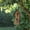 Orange, variant on Alpine Corporation 8" x 17" Hanging Swirly Vintage Wood Birdhouse, Green