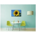 thumbnail image 2 of Pingo World 0809QG41I5M "Sunflower Flower" Gallery Wrapped Canvas Wall Art, 20" x 16", Variable, 2 of 4