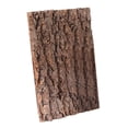 thumbnail image 1 of Esquirla Cork Bark Background Realistic Habitat Decor for Salamanders Lizards Iguanas 30cmx40cm, 1 of 8