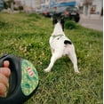 thumbnail image 6 of Retractable Dog Leash | Heavy Duty Pet Walking Leash with Anti-Slip Handle | One Button Brake, Pause & Lock - Suitable for Dogs & Cats, 6 of 38