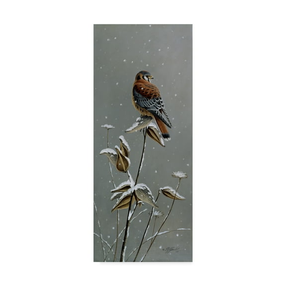 Trademark Fine Art 'Gentle Snowfall Kestrel' Canvas Art by Wilhelm Goebel