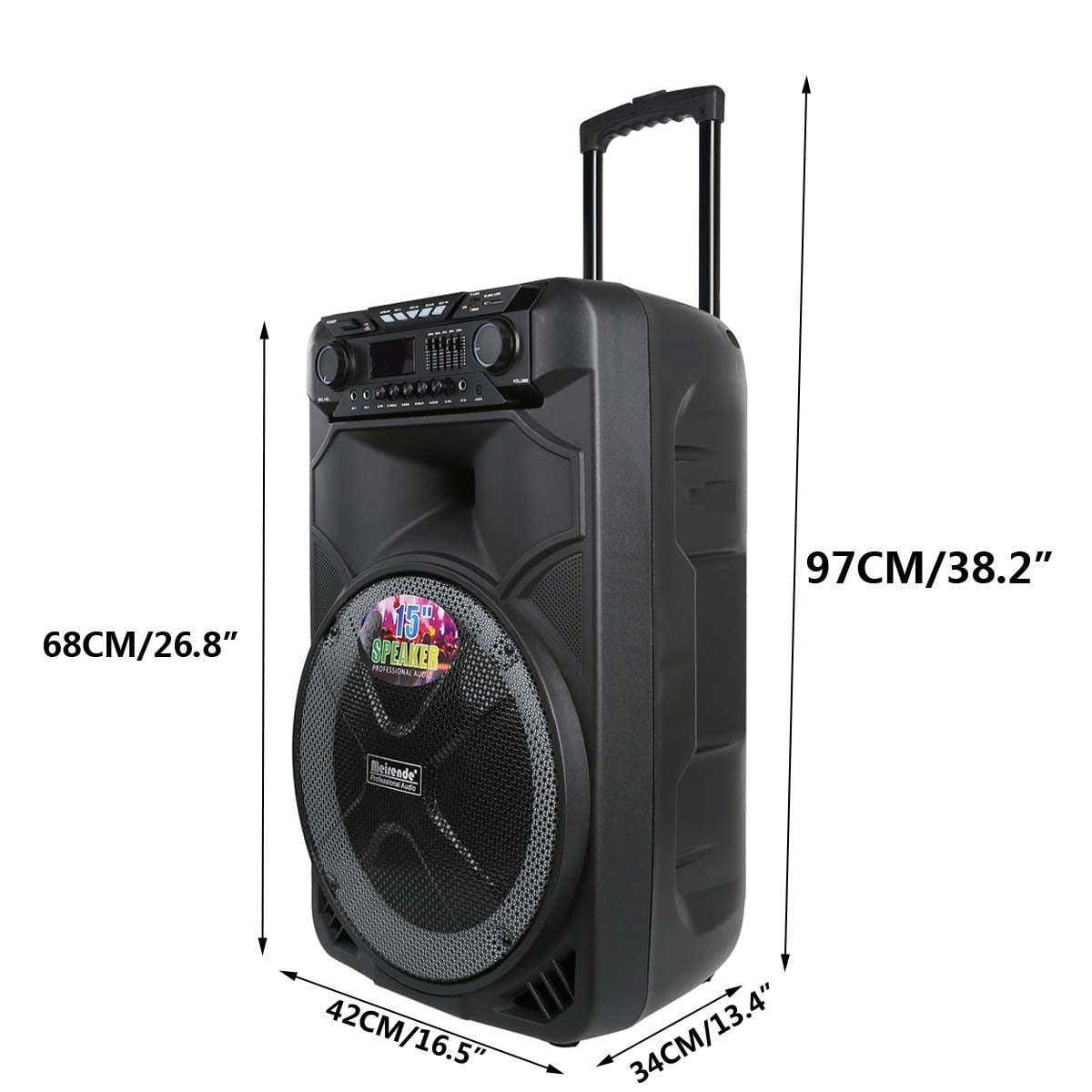 Tengchang Pro 12 Series Speaker Karaoke Machine DJ PA System Bluetooth Dual with Wireless Mics