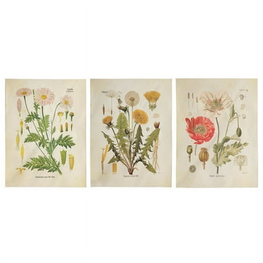 3Pcs Flower Tapestry Wall Hanging Wildflower Small Tapestry (A B E)