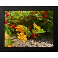 thumbnail image 2 of Grayscale 18x15 Black Modern Framed Museum Art Print Titled - Lantana IX, 2 of 5