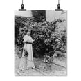thumbnail image 2 of Print: Frances Benjamin Johnston, By Rose Bushes, circa 1890-1910, 2 of 4