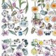 thumbnail image 5 of 9Pcs Window Sticker Vibrant Color Tulip Butterfly Flower Pattern Spring Window Clings for Home, 5 of 5