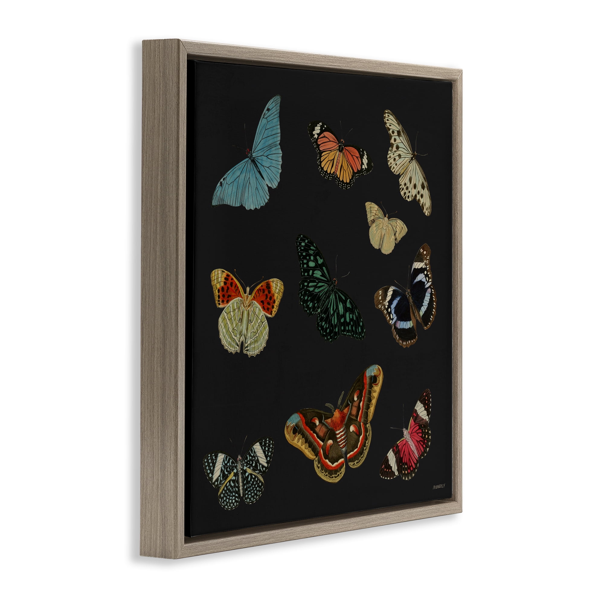 Stupell Industries Insects Group on Black Brown Framed Floater Canvas Wall Art, design by Dan Meneely