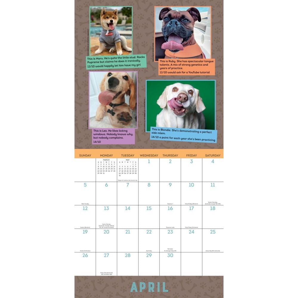 Weratedogs 2020 Wall Calendar Other Walmart Com Walmart Com For all of our official dog ratings, follow us. weratedogs 2020 wall calendar other