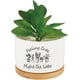 thumbnail image 1 of Macetas de cerámica blanca, divertidas macetas para plantas suculentas, cactus, flores, drenaje., 1 of 9