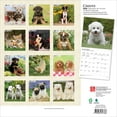thumbnail image 2 of Chiots | 2026 12x24" (Hanging) Square Wall Calendar, 2 of 9