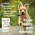 thumbnail image 5 of HomeoPet WRM CLEAR Worm Parasite Remedy Support Drops for Pets, 15 mL, 5 of 9