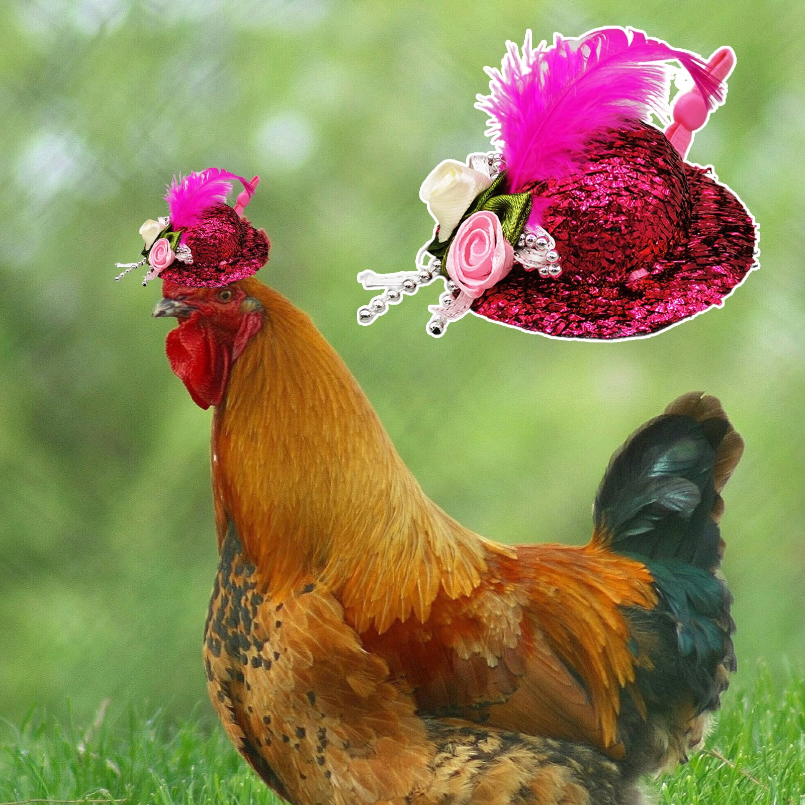 Shulemin Rooster Delicate Feather Decor High Elasticity Hen Mini Chicken Helmet Accessories Feather Top Hat for Party - Walmart.com