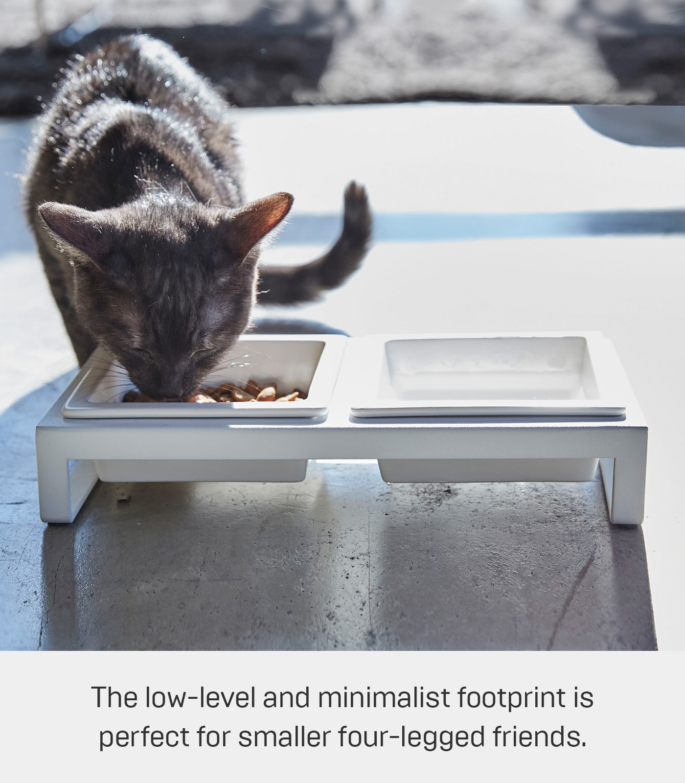 Yamazaki Home  Pet Food Bowls - Two Styles, Steel and Ceramic, Short, 1.25 cups, 300 milliliters per bowl White