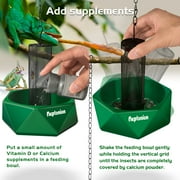 NEPTONION Hookable Chameleon Feeding Bowl Bugs Bar with Column for Prey to Climb and Move, Suitable for Lizard, Bearded Dragon, Iguana, Gecko, Toad, Frog