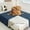 Dark Blue, variant on Pet Furniture Cover for Blanket for Dogs and Cats Sofa Couch Protector Large Washable Pet Bed 29x76cm Durable Polyester TPR Comfort for Indoor Use