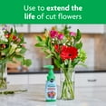 thumbnail image 6 of Miracle-Gro for Fresh Cut Flowers, 8 oz, 6 of 10