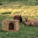 thumbnail image 3 of GOOHOCHY Nido de escondite de conejo tejido, casa de escondite para mascotas pequeñas para el hogar, casa de conejito tejida a mano, 3 of 8