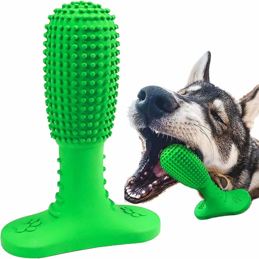 dog toothbrush dental stick