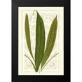thumbnail image 2 of Vision Studio 17x24 Black Modern Framed Museum Art Print Titled - Garden Ferns VI, 2 of 5