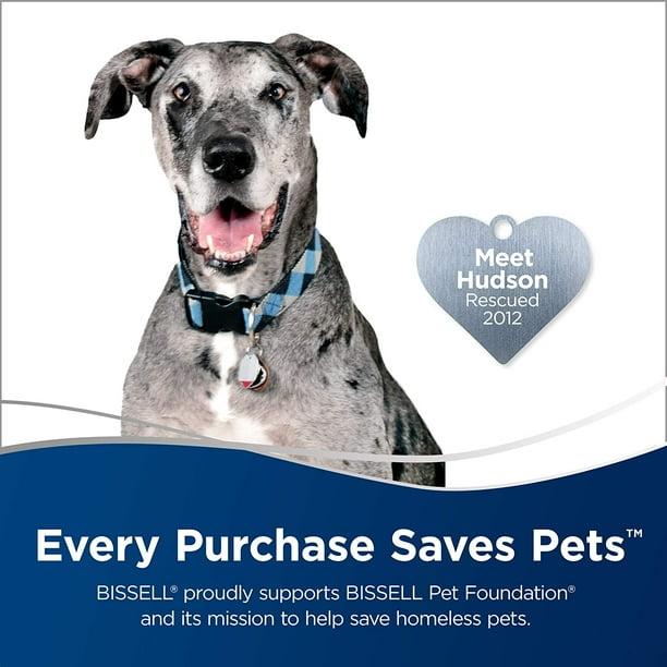 Bissell bark bath walmart cheap