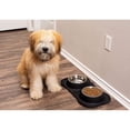 thumbnail image 4 of Internet's Best Bone Dog Bowl Set - Double Stainless Steel Pet Food Water Bowls - No Spill Silicone Stand, 4 of 5