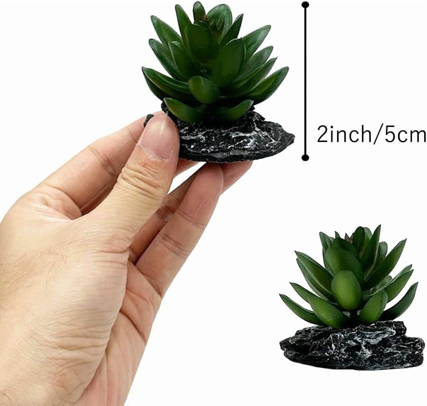 Reptile Artificial Plants Succulent Terrarium Decor Desert Rainforest Plant Lizard Beard Chameleon Gecko Snake Amphibious Sea Turtle Tank Accessory