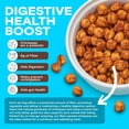 thumbnail image 5 of Chickpea Snacks - Crunchy Roasted Chickpeas - High Fiber Vegan Protein Snacks for Adults and Kids - Individual Pack - Himalayan Pink Salt, 5 of 5