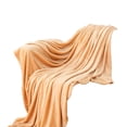 thumbnail image 2 of Denhf Fleece Throw Blanket for Couch, Super Soft Warm Fuzzy Cozy Flannel Blanket, Lightweight Plush Fluffy Blanket for Sofa, Bed and Living Room, Suitable for All Seasons, 60" x 80", Brown, 2 of 9