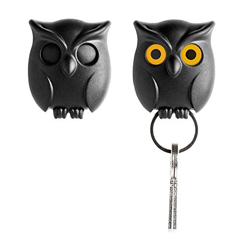 Night Owl Key Holder Wall Mount Keyring Home Decor House Living Style Decor SQ 