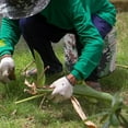 thumbnail image 1 of Taburete de jardinería con cojín de cadera, taburete de agricultura, portátil, de espuma, redondo, resistente, con correas de transporte, reposapiés Altura 17cm, 1 of 8
