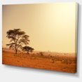 thumbnail image 2 of Trees in Large African Landscape - African Landscape Canvas Art Print, 2 of 3