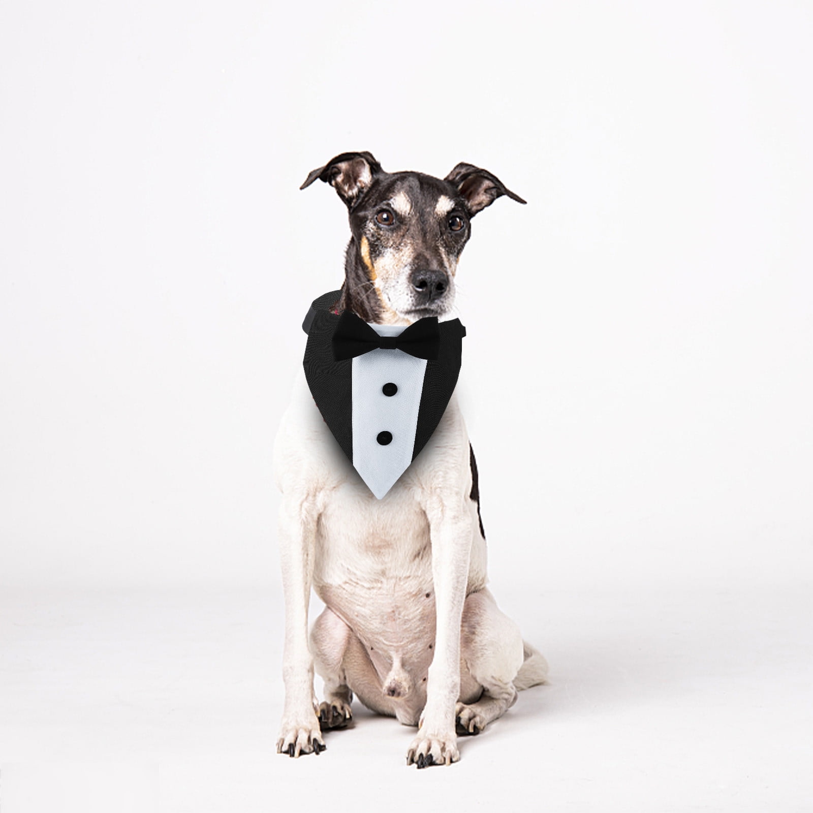 Dog bow tie walmart hot sale